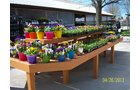 Property photo 19 - Complete Greenhouse Inventory Liquidation, 2 Dates, October 23 & 26 Plus 14 Acres